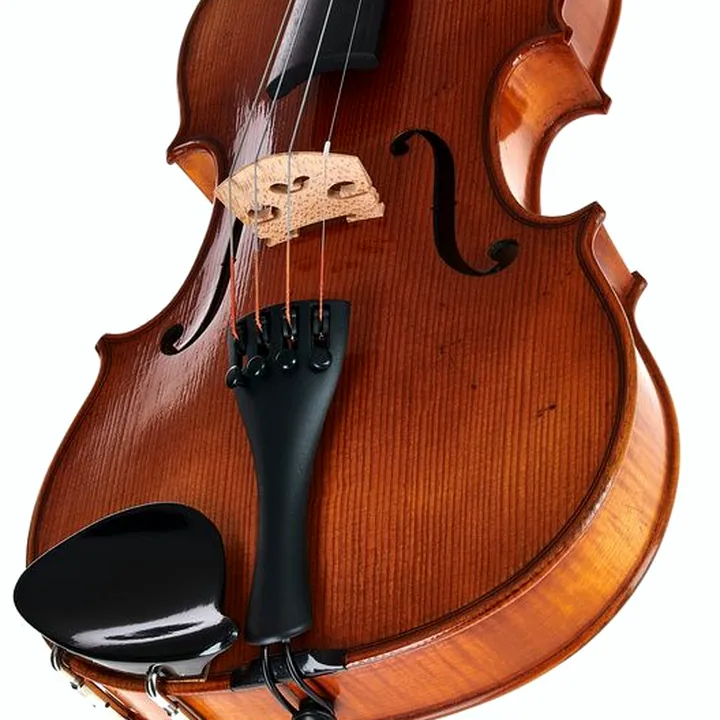 Violon Karl Höfner H11E-V Violin 4/4 – Test, Avis