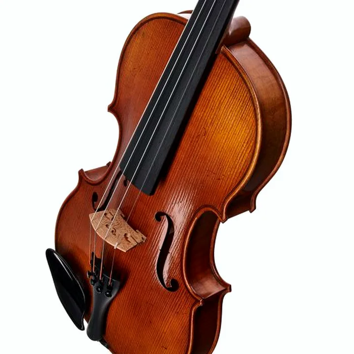 Violon Karl Höfner H11E-V Violin 4/4 – Test, Avis