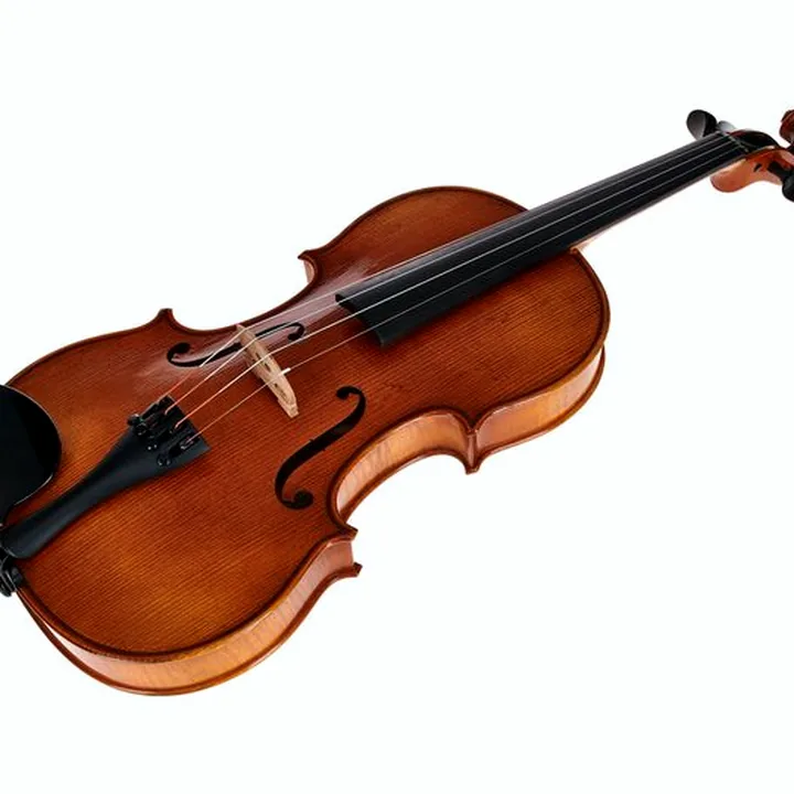 Violon Karl Höfner H11E-V Violin 4/4 – Test, Avis