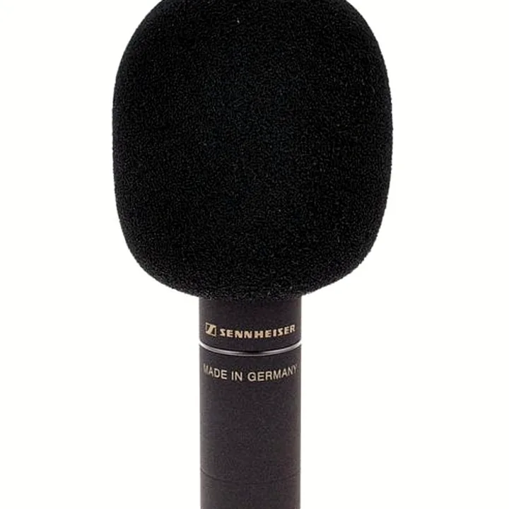Avis et Test : Sennheiser MKH 8020 Stereo Pair