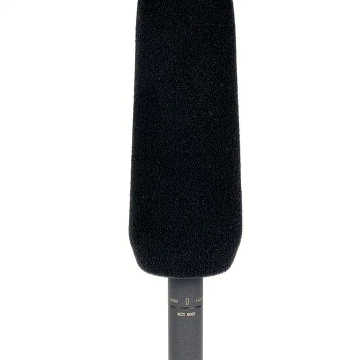 Avis et Test : Sennheiser MKH 8060