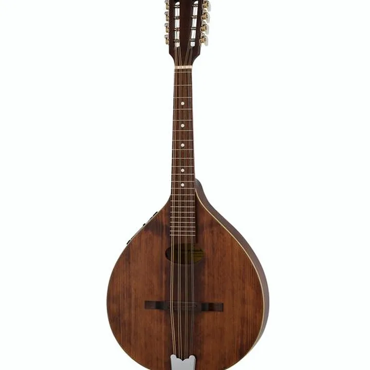 Avis et Test : Thomann Europe Mandola M1088A-P