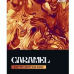 Avis et Test : ujam Usynth Caramel