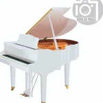Avis et Test : Yamaha D GB1 K EN White Polished