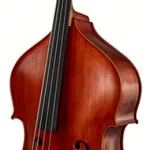 Avis sur la contrebasse Scala Vilagio Double Bass Bernardel IB | Les tests de l’EDL