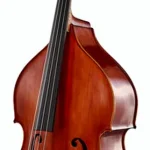 Avis sur la contrebasse Scala Vilagio Double Bass Busseto IB | Les tests de l’EDL