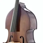 Avis sur la contrebasse Stentor SR1950 Double Bass Student 1/4 | Les tests de l’EDL