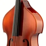 Avis sur la contrebasse Thomann 22 1/10 Europe Double Bass | Les tests de l’EDL