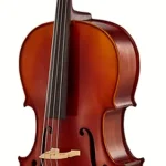 Avis sur le violoncelle Gewa Allegro VC1 Cello Set 1/4
