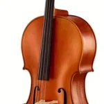 Avis sur le violoncelle Karl Höfner H4/5-MG-C 4/4 Gofriller