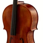 Avis sur le violoncelle Lothar Semmlinger No. 300 Solo Cello Oil 4/4