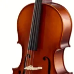 Avis sur le violoncelle Roth & Junius Europe 1/2 Student Celloset