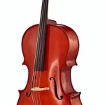 Avis sur le violoncelle Roth & Junius RJC Cello Set 3/4