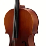 Avis sur le violoncelle Thomann Student Celloset 1/8