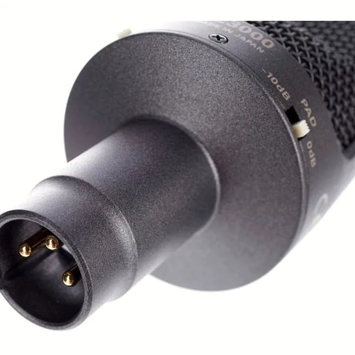 Test et Avis : Audio-Technica AE 3000