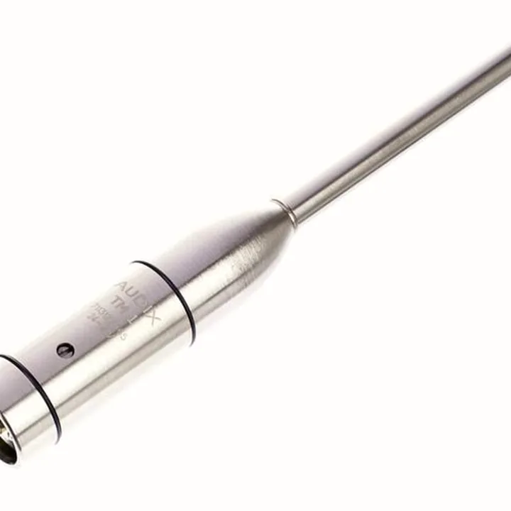 Avis, Test : Audix TM-1