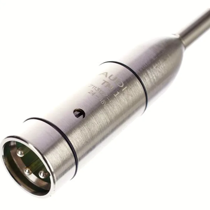 Avis, Test : Audix TM-1