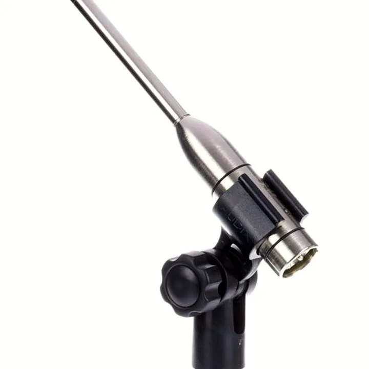 Avis, Test : Audix TM-1