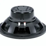 Avis & Test : B&C 12NW100