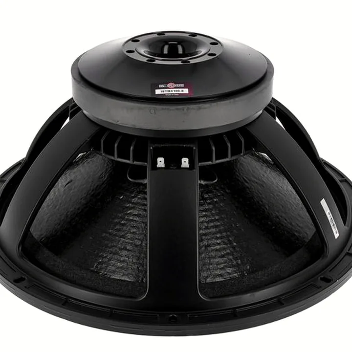 Avis, Test : B&C 18TBX100