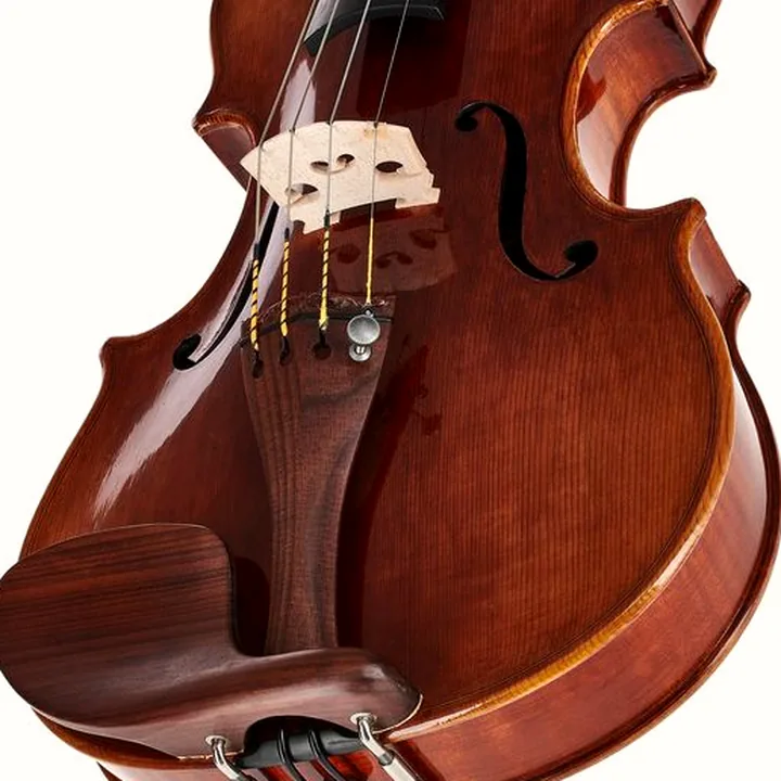 Le violon Bernd Hiller & Sohn Antonio Stradivari Violin 4/4 : Avis, Test & Comparatif