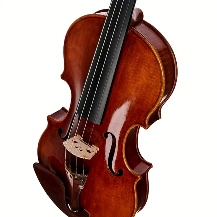 Le violon Bernd Hiller & Sohn Antonio Stradivari Violin 4/4 : Avis, Test & Comparatif
