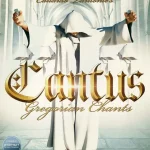 Avis, Test : Best Service Cantus