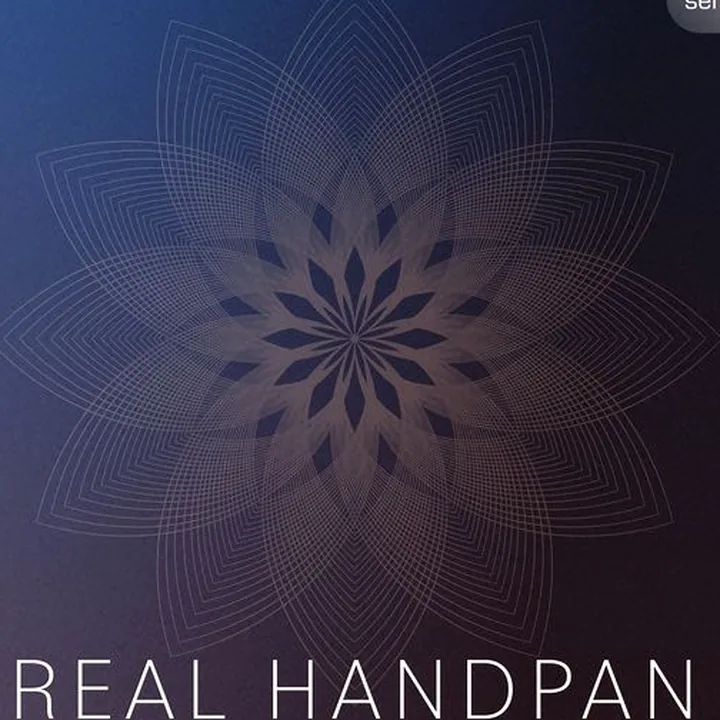 Avis, Test : Best Service Real Handpan