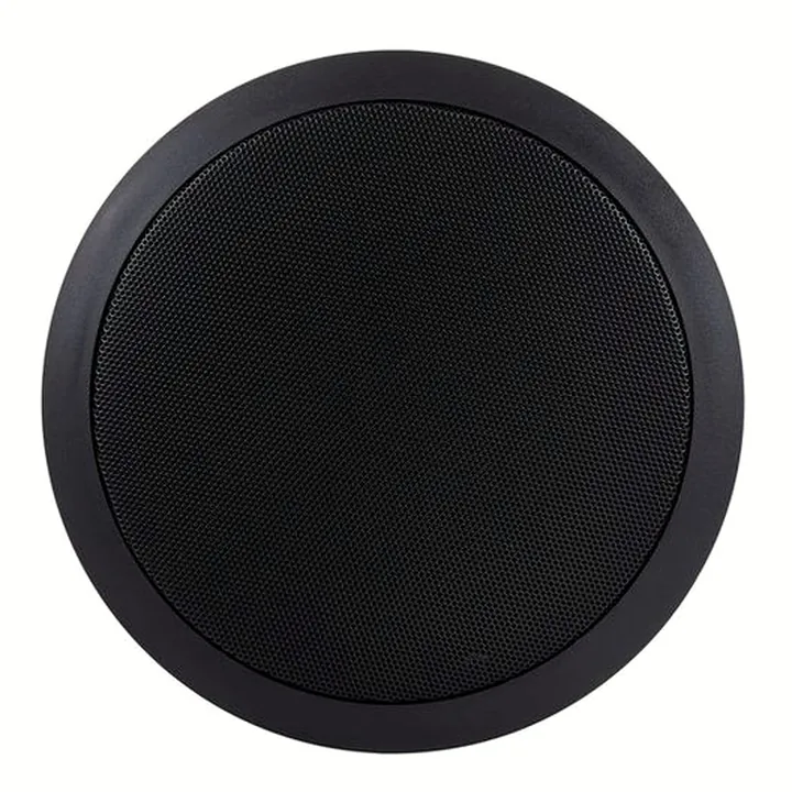 Avis, Test : Biamp Systems CM20T Black