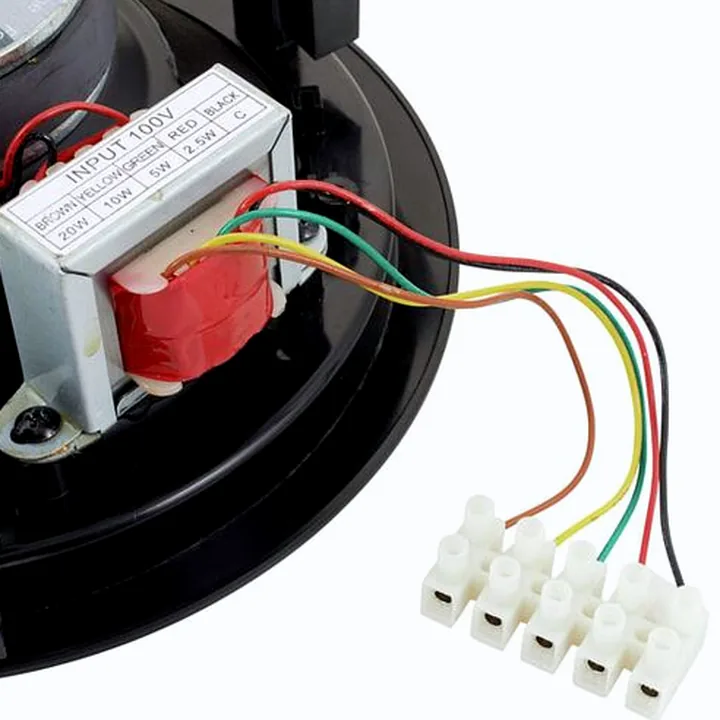 Avis, Test : Biamp Systems CM20T Black