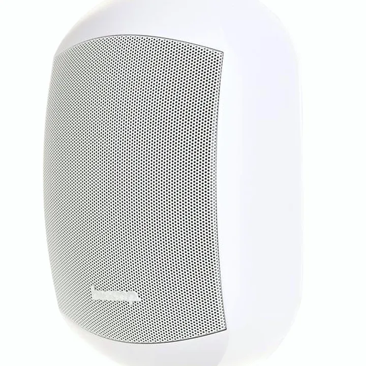 Avis, Test : Biamp Systems MASK4C White