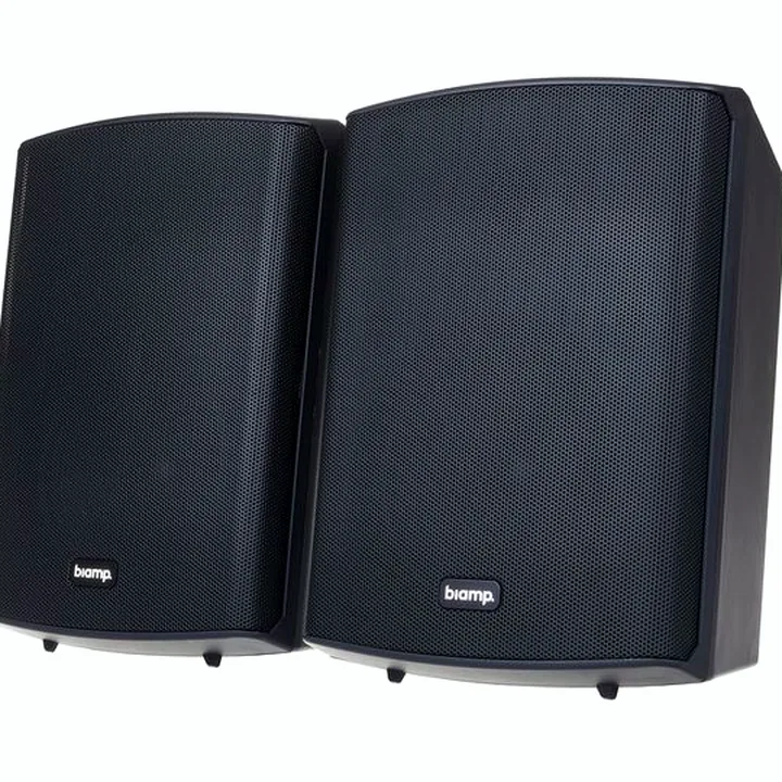 Avis, Test : Biamp Systems SDQ5P Black