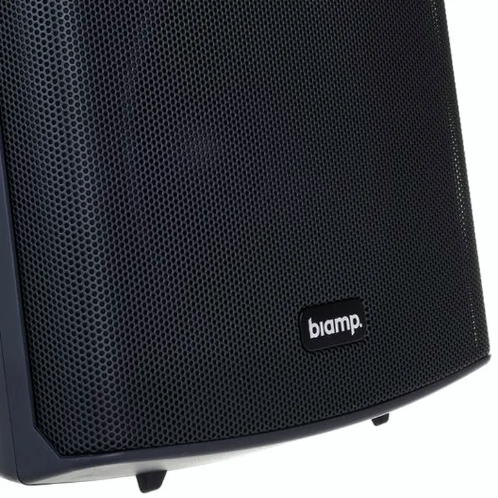 Avis, Test : Biamp Systems SDQ5P Black