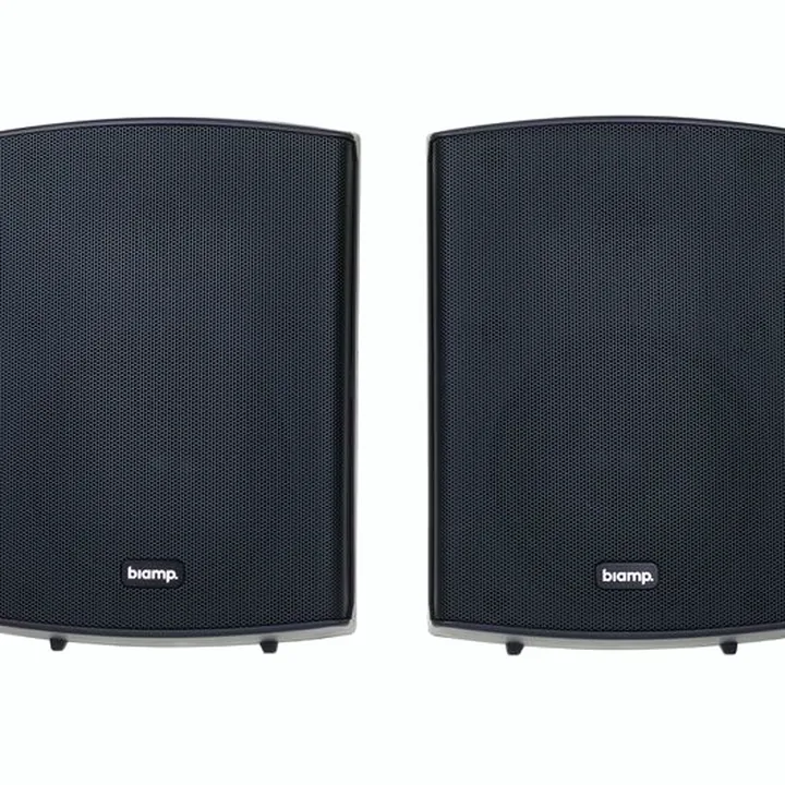 Avis, Test : Biamp Systems SDQ5P Black