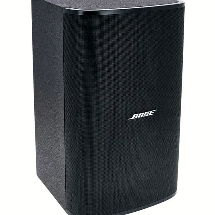 Avis, Test : Bose DesignMax DM10S-SUB black