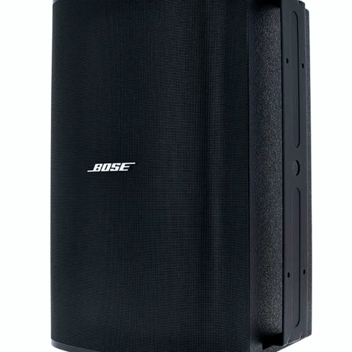 Avis, Test : Bose DesignMax DM10S-SUB black