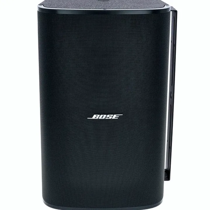 Avis, Test : Bose DesignMax DM10S-SUB black