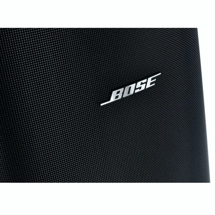 Avis, Test : Bose DesignMax DM10S-SUB black