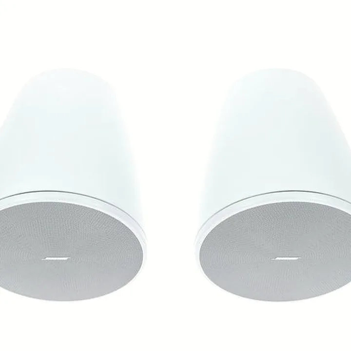 Avis & Test : Bose DesignMax DM6PE white