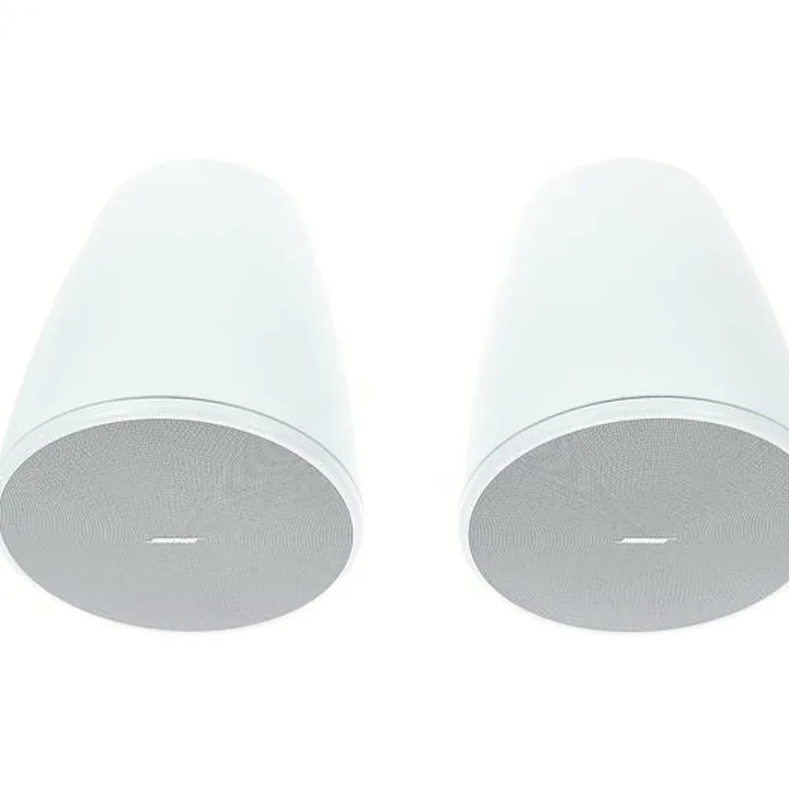 Avis & Test : Bose DesignMax DM6PE white