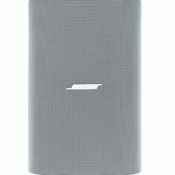 Avis & Test : Bose DesignMax DM6SE white