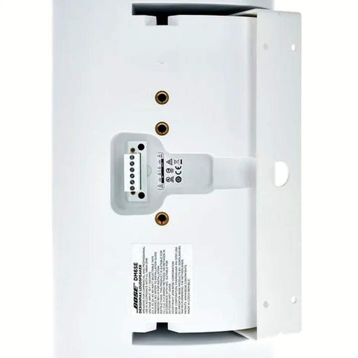 Avis & Test : Bose DesignMax DM6SE white