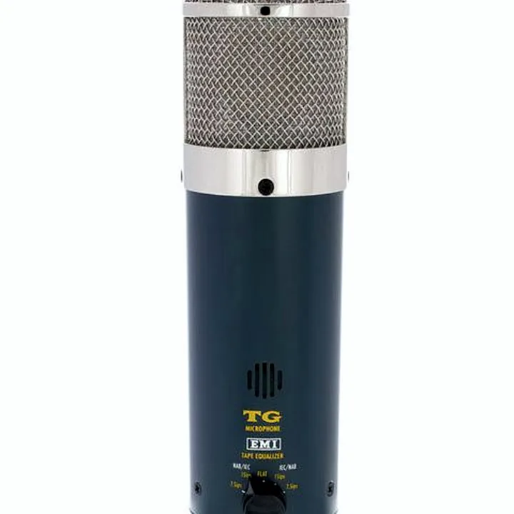 Avis & Test : Chandler Limited TG Microphone