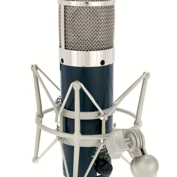 Avis & Test : Chandler Limited TG Microphone