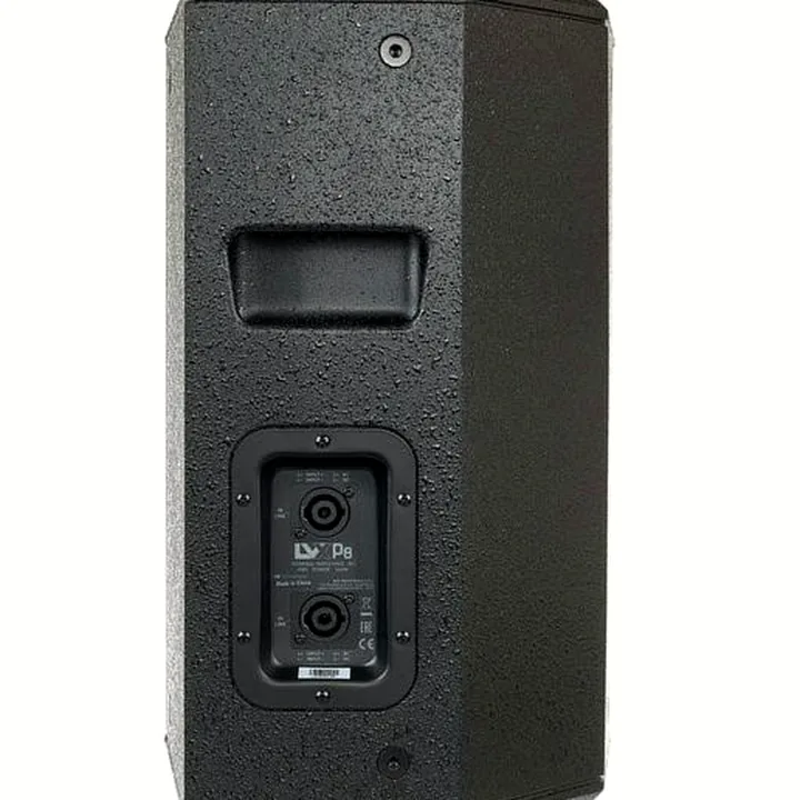 Avis, Test : dB Technologies LVX P8