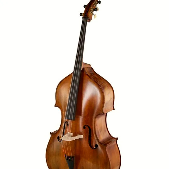 Avis & Test de la contrebasse Georg Walther Solo Double Bass 3/4 AM