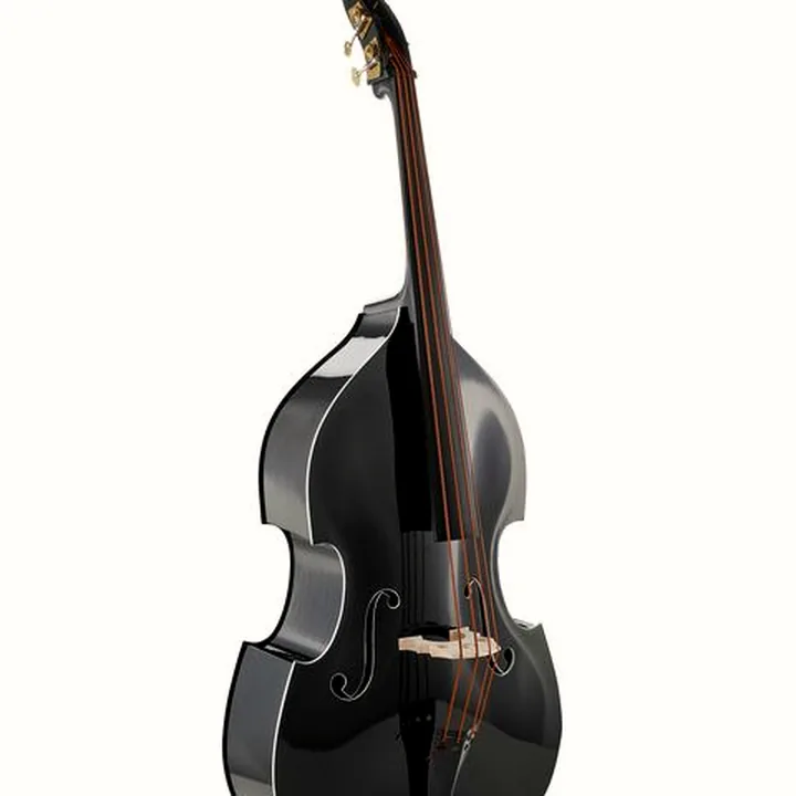 Avis, Test de la contrebasse Thomann Rockabilly Vintage Bass BK/V