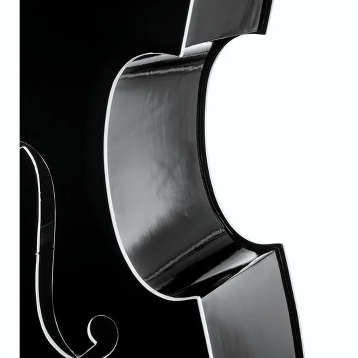 Avis, Test de la contrebasse Thomann Rockabilly Vintage Bass BK/V