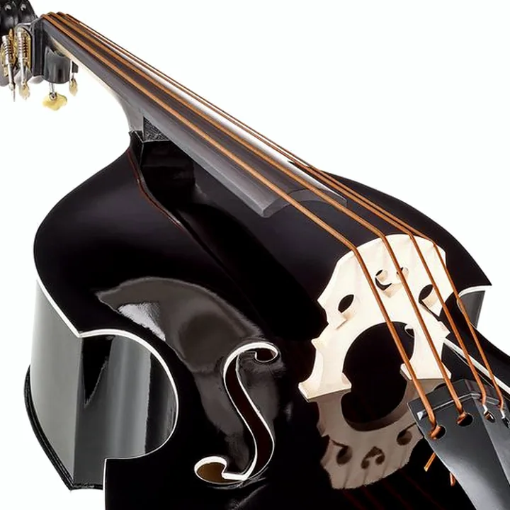 Avis, Test de la contrebasse Thomann Rockabilly Vintage Bass BK/V
