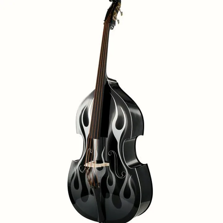 Avis & Test de la contrebasse Thomann Rockabilly Vintage Flames BK/V
